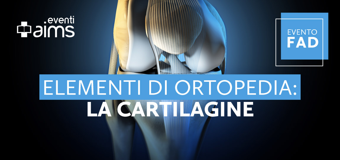 Elementi di ortopedia: Cartilagine